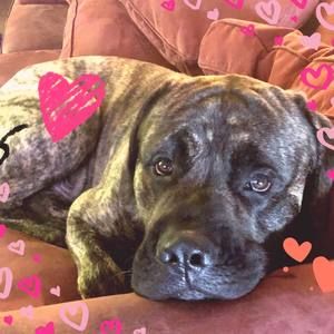 Meet your Posher, Annette